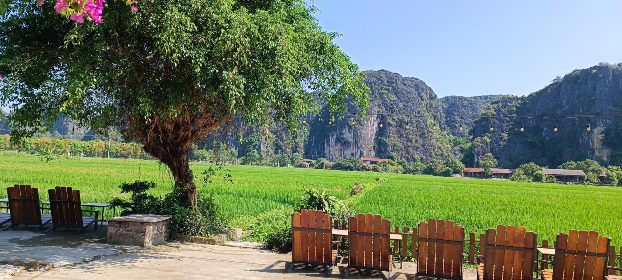 Tam Coc Village Bungalow Ninh Bình Exteriör bild