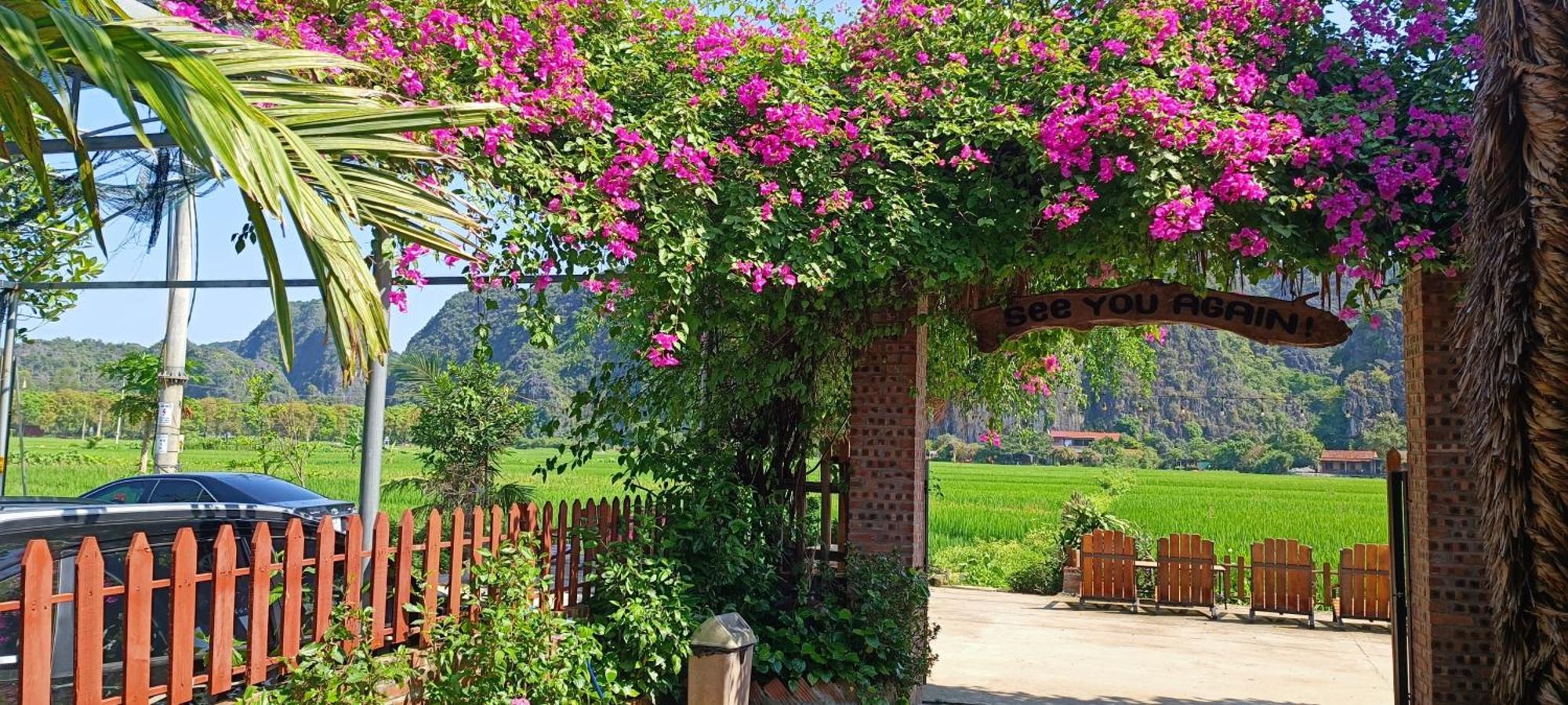 Tam Coc Village Bungalow Ninh Bình Exteriör bild